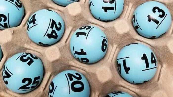 Khám Phá Thế Giới Đá Gà Trực Tiếp: Những Địa Chỉ Nổi Bật Nhất